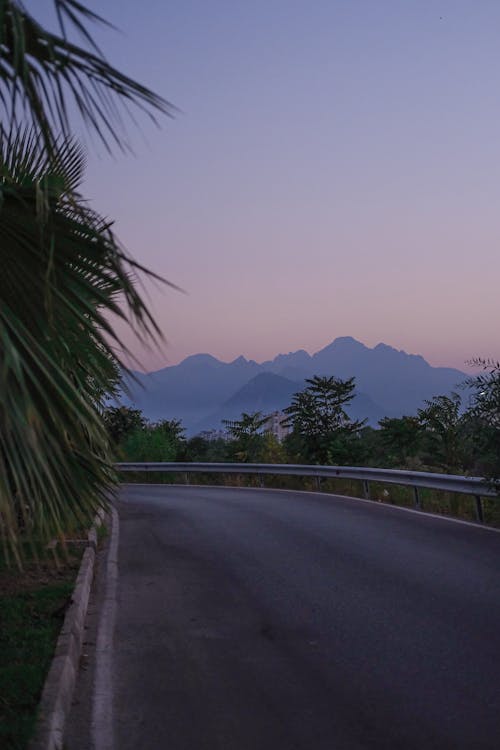 Darmowe zdjęcie z galerii z antalya, asfalt, cebula