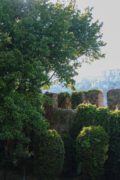 Gratis stockfoto met akkerland, antalya, architectuur