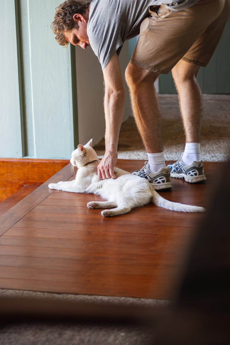 Man Patting Cat Lying Down On Floor