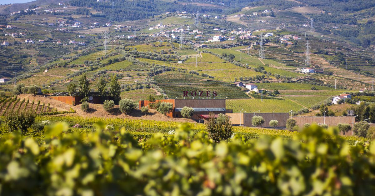 Vinho Verde
