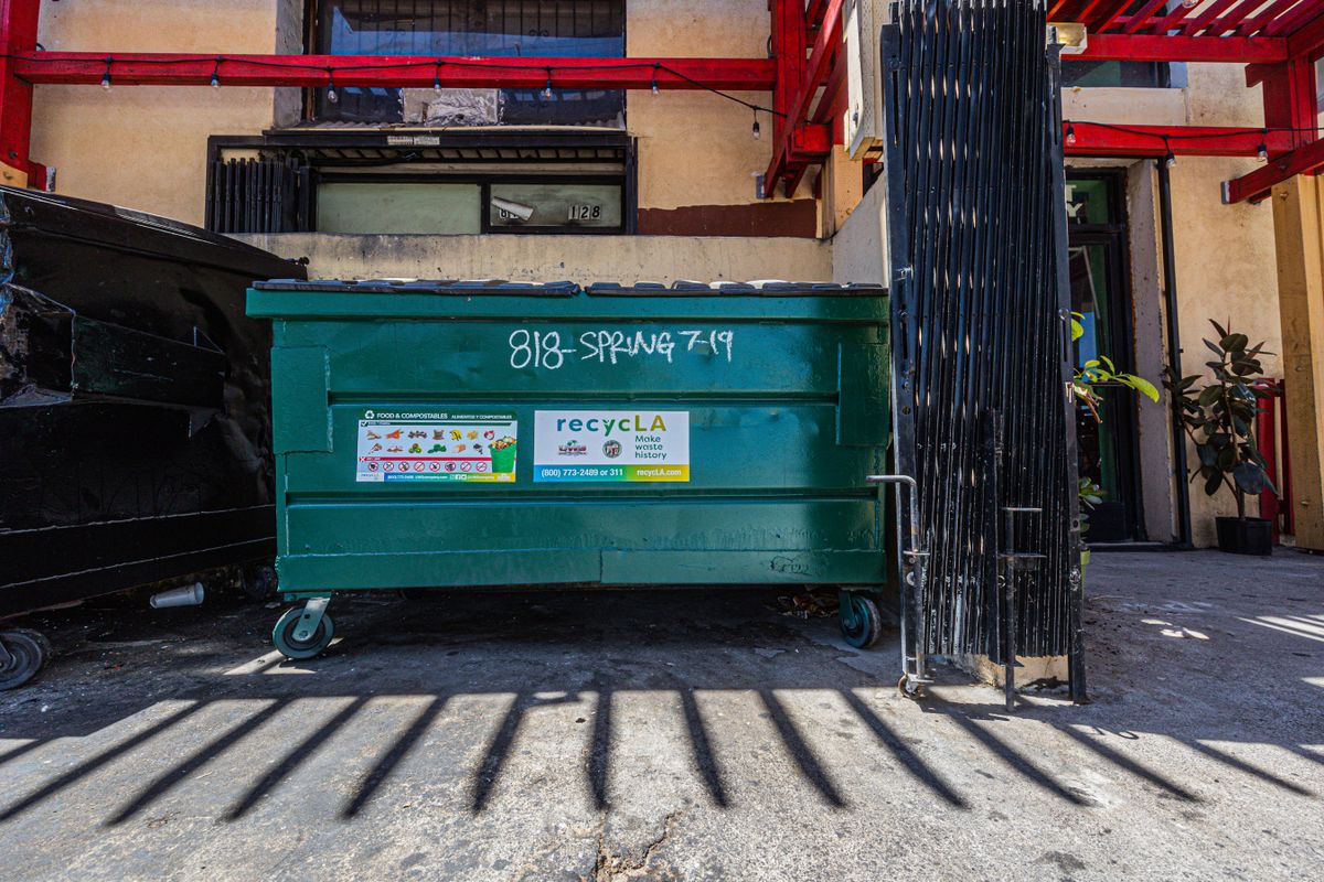 Large dumpster container placed outdoors ready for a waste disposal project