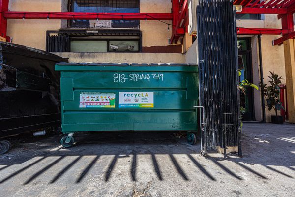 What can go in a dumpster NYC guide