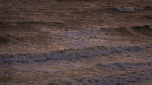 Бесплатное стоковое фото с вода, волны, пейзаж