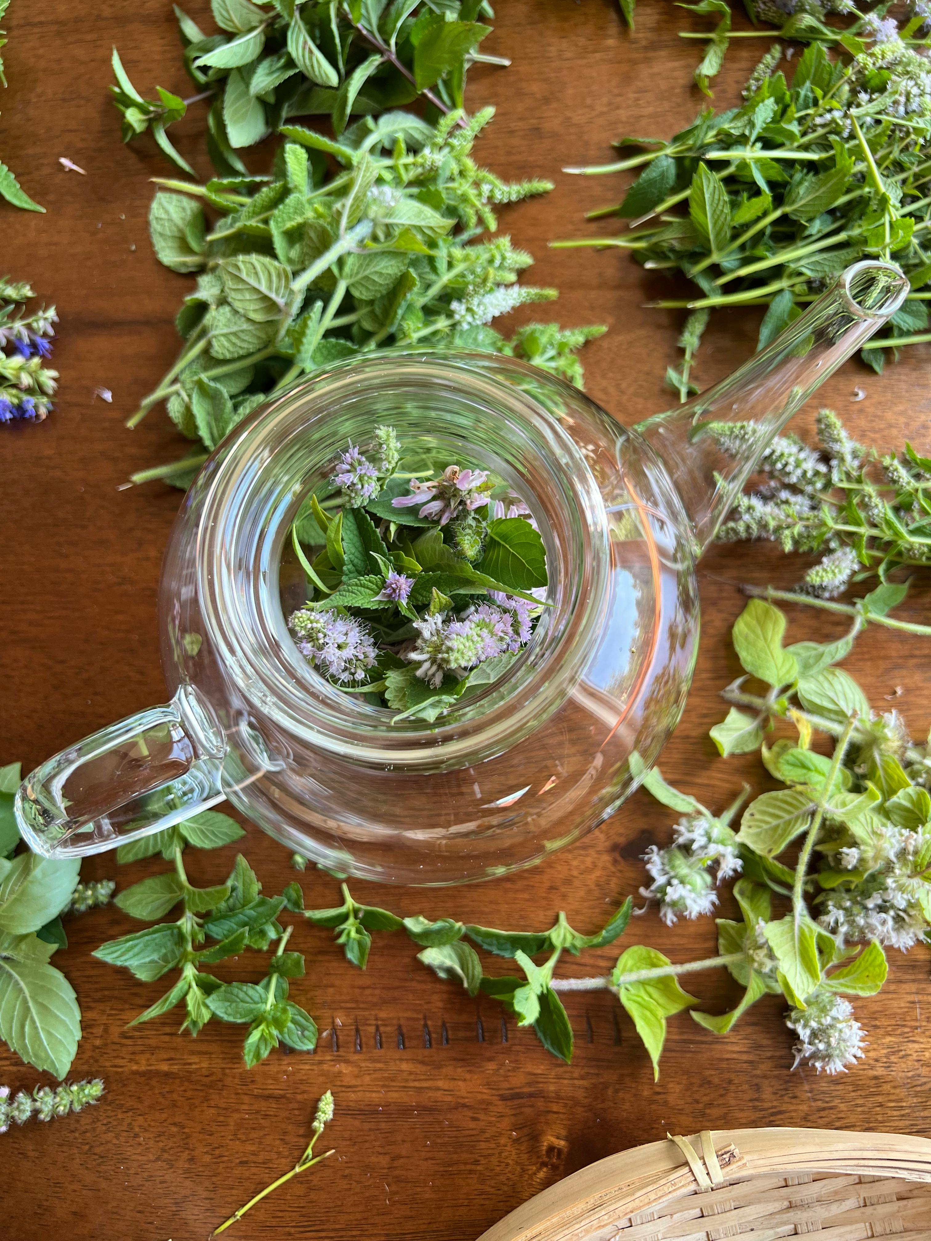 A transparent glass teapot filled with fresh mint and flowers, ready for herbal tea infusion.