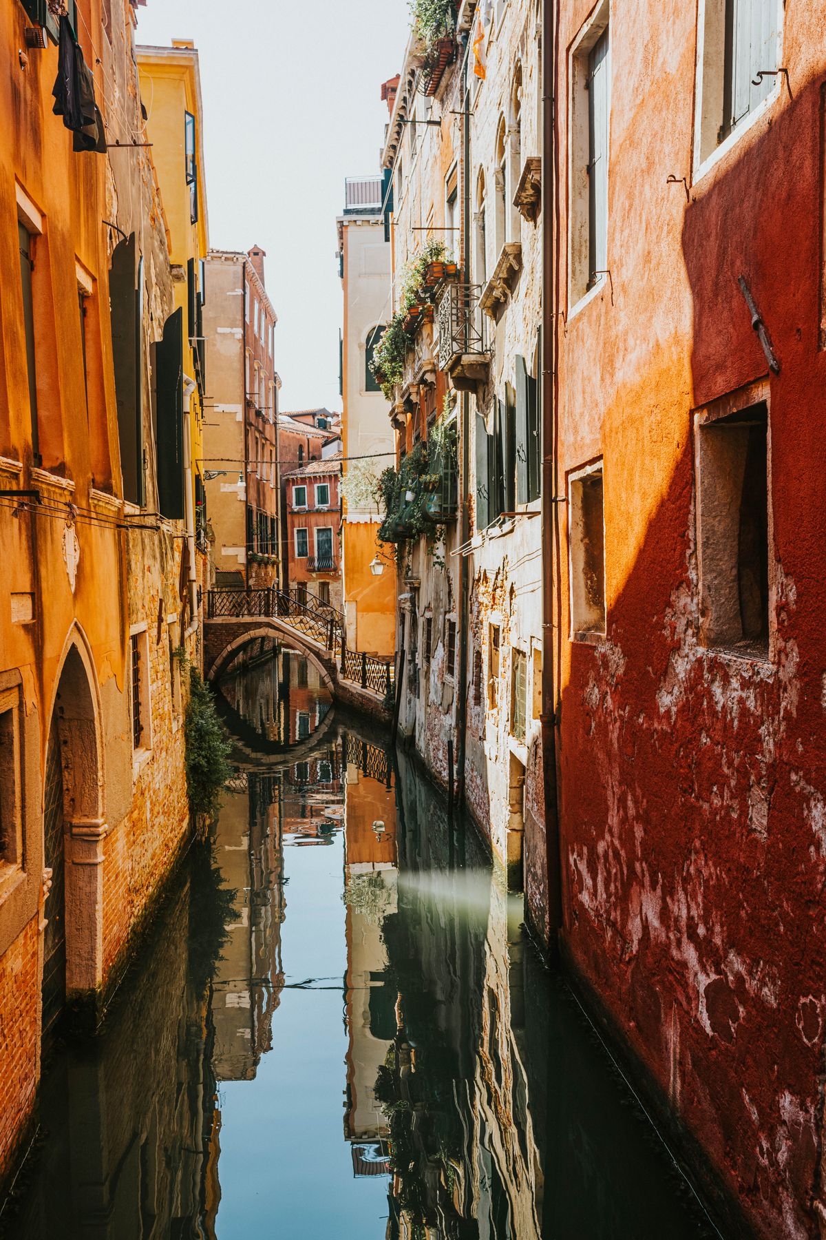 1+ Million Royalty Free Images · Pexels