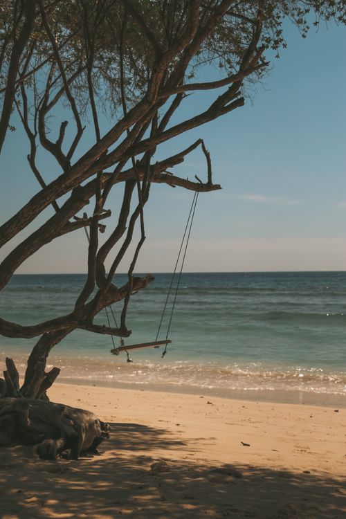 Free Peaceful beach scene with a swing hanging from a tree overlooking the ocean in Lombok, Indonesia. Stock Photo