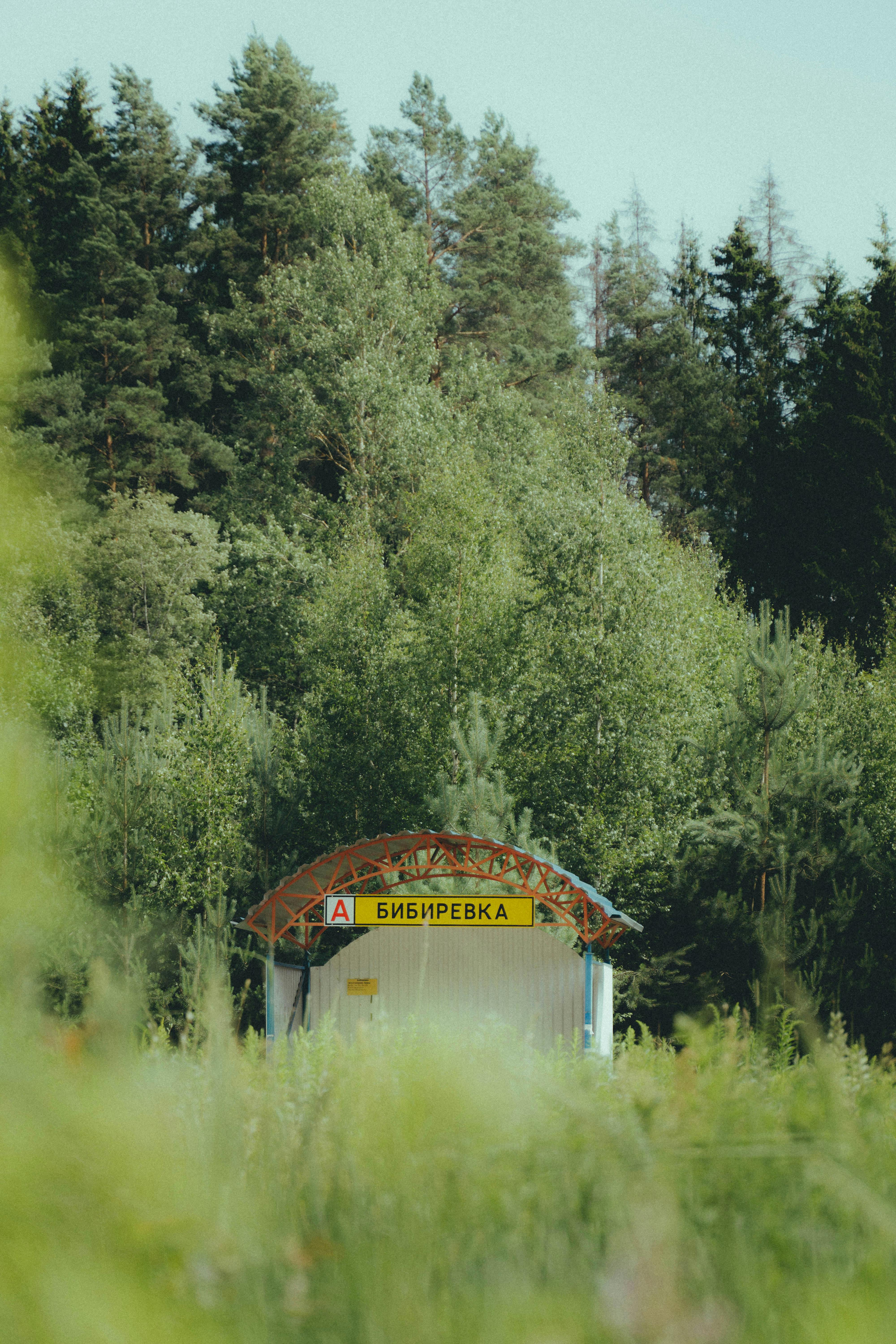 A tranquil bus stop named Bibirevka amidst lush green forest in summer, perfect rural escape.
