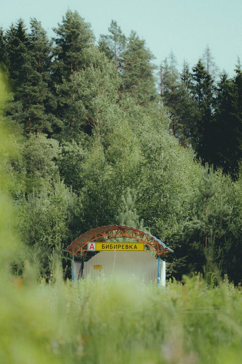 View of an Empty Bus Stop among Meadows and Trees 