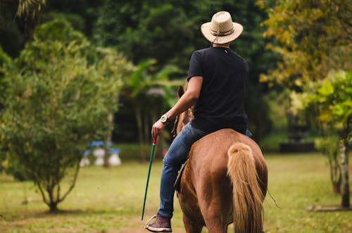 Back View of a Man Horseback Riding on a Farm 