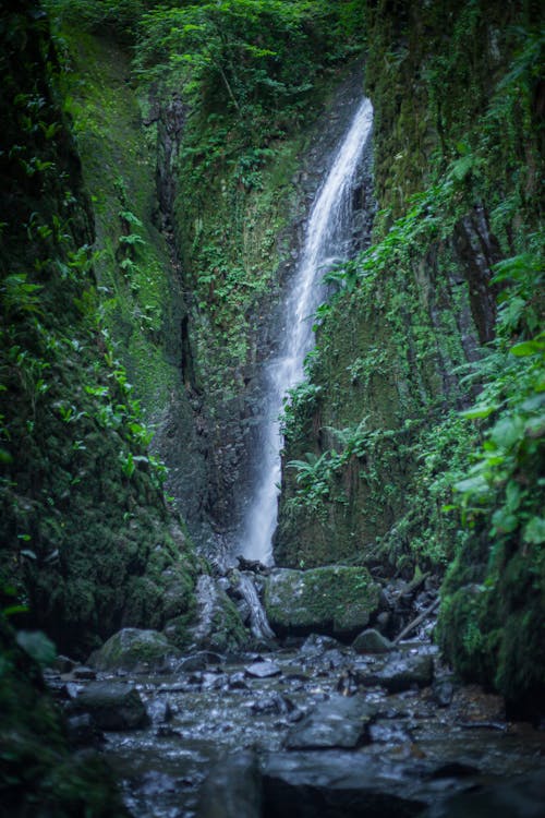 Waterfall in Forest