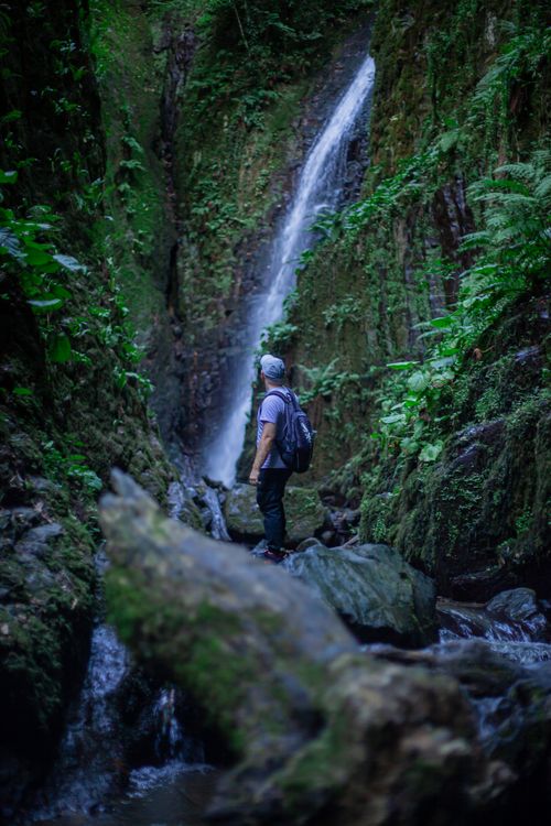 Free An adventurer stands near a waterfall surrounded by lush greenery, capturing a sense of exploration. Stock Photo
