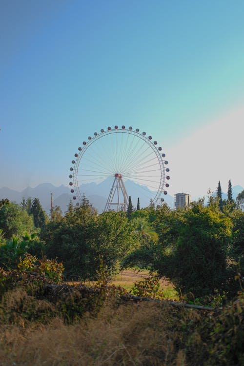 Darmowe zdjęcie z galerii z antalya, diabelski młyn, drewno