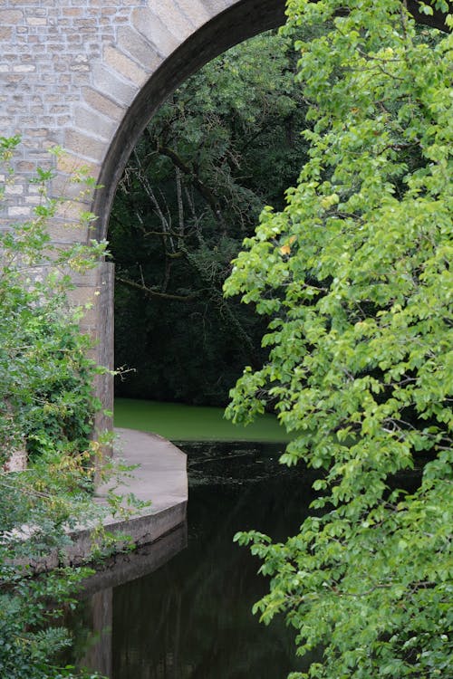 Free View of an Arch Bridge over the River in a Park  Stock Photo