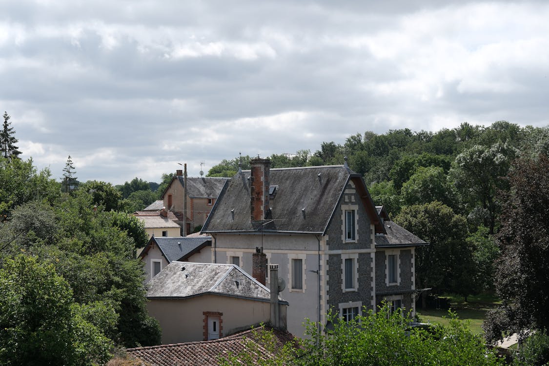 Forest around Houses in Village