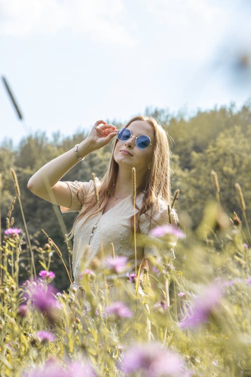 ağaçlar, alan, ayakta içeren Ücretsiz stok fotoğraf