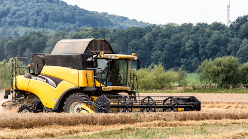 夏天, 小麥, 收穫 的 免費圖庫相片