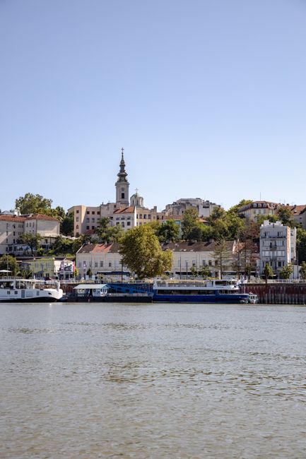Fotomural Vista serena del paisaje urbano de Belgrado a lo largo del río Danubio en un día soleado.