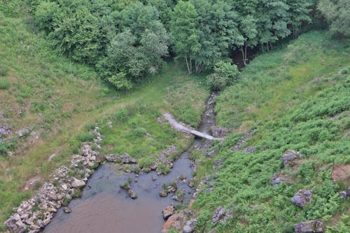 Безкоштовне стокове фото на тему «Аерофотозйомка, дерева, знімок із дрона»