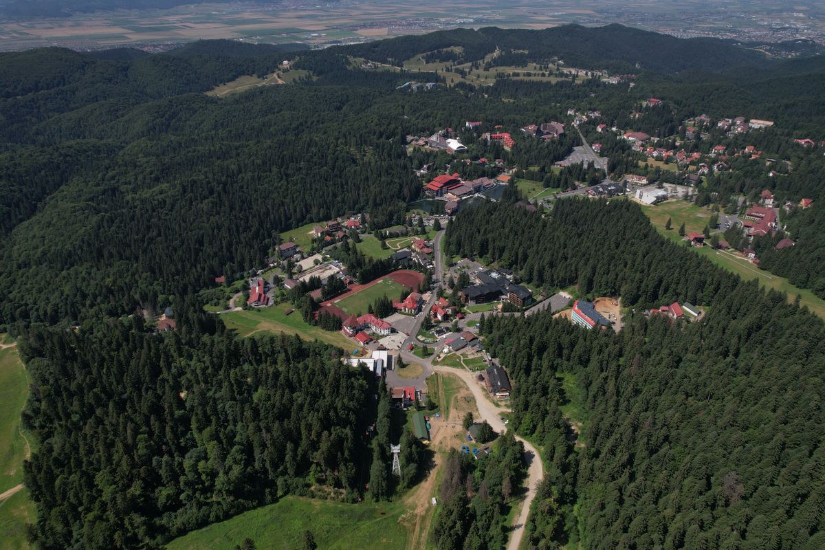 Pădure în jurul unui orășel