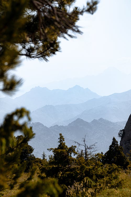 丘陵, 垂直拍摄, 天性 的 免费素材图片