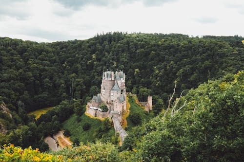 Imagine de stoc gratuită din antichitate, arbori, castel