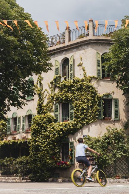 A picturesque scene of a cyclist passing an ivy-covered building in sunny Aix-en-Provence, France.