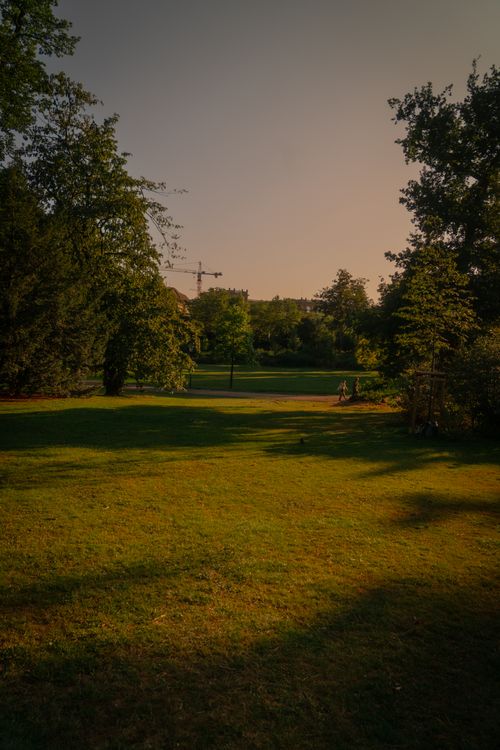 Free Serene park landscape captured at dusk in Düsseldorf, Germany, showcasing lush greenery and a tranquil atmosphere. Stock Photo