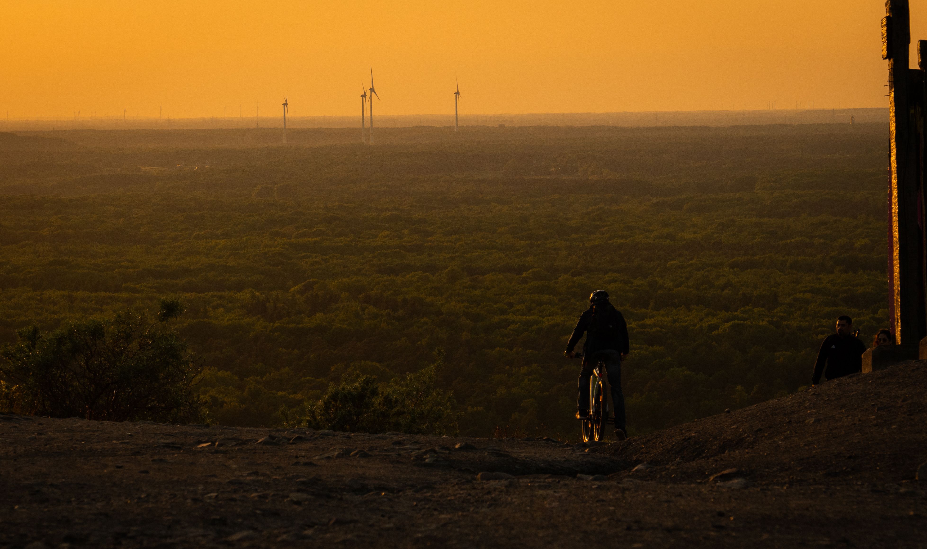 Cycling in Ibiza: A Local's Guide to the Island's Best Bike Routes & Rides (2026)