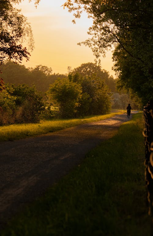 Pavement in Park at Dusk