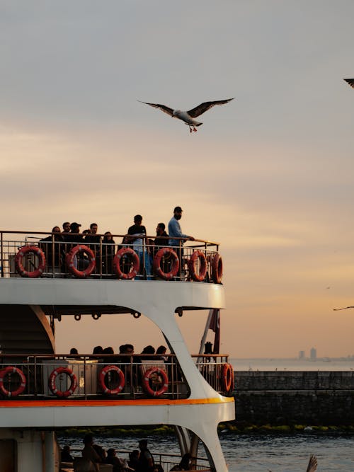 Kostenloses Stock Foto zu fähre, kreuzfahrt, meer