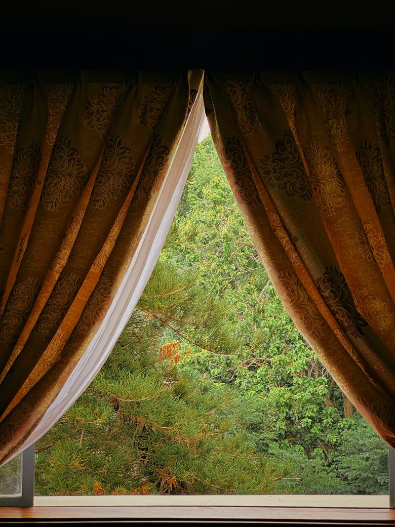 Curtains framing a green garden view
