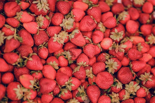 Abundance of Fresh Strawberries