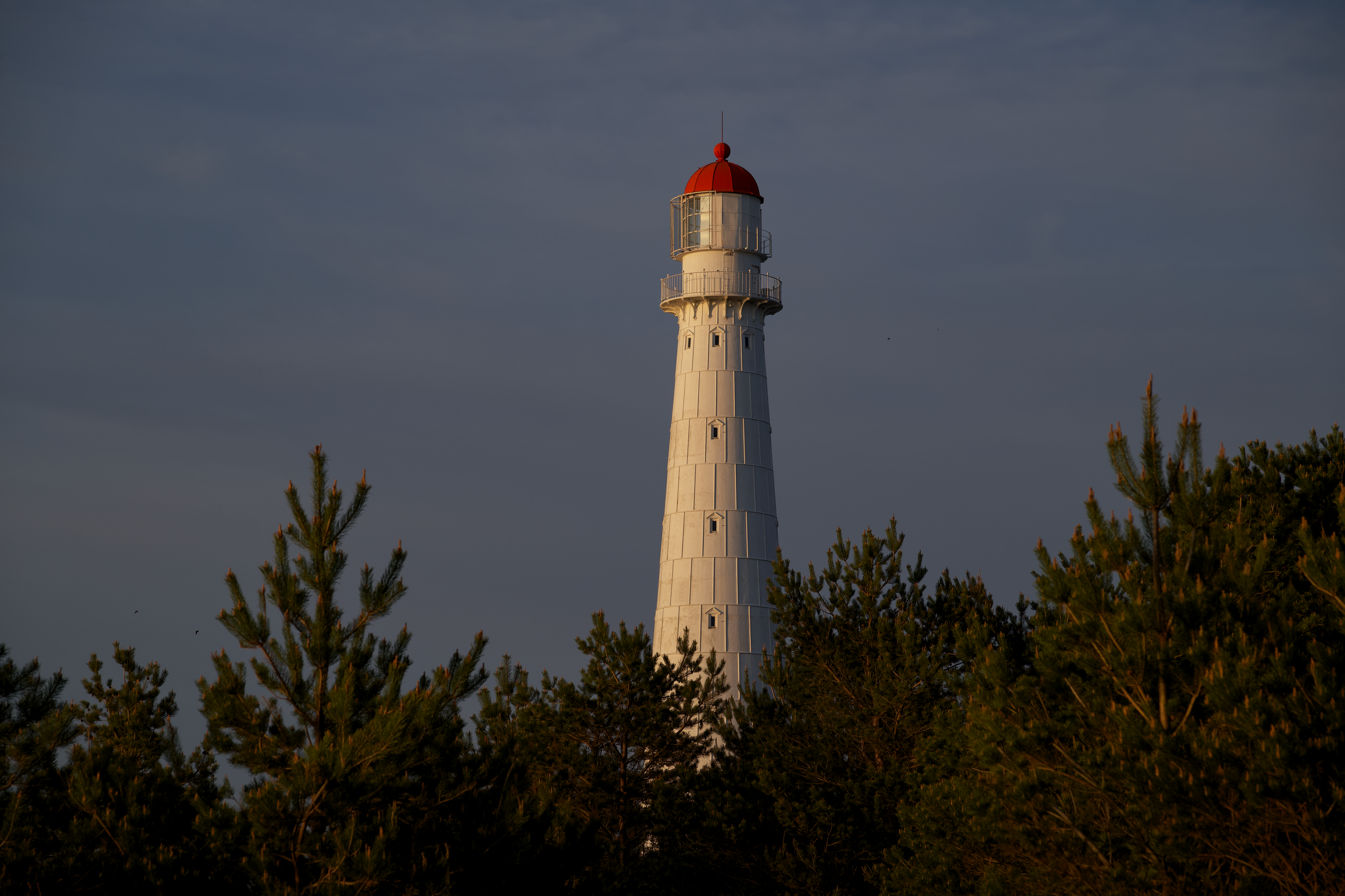 Kõpu lighthouse rising above pine forest on Hiiumaa