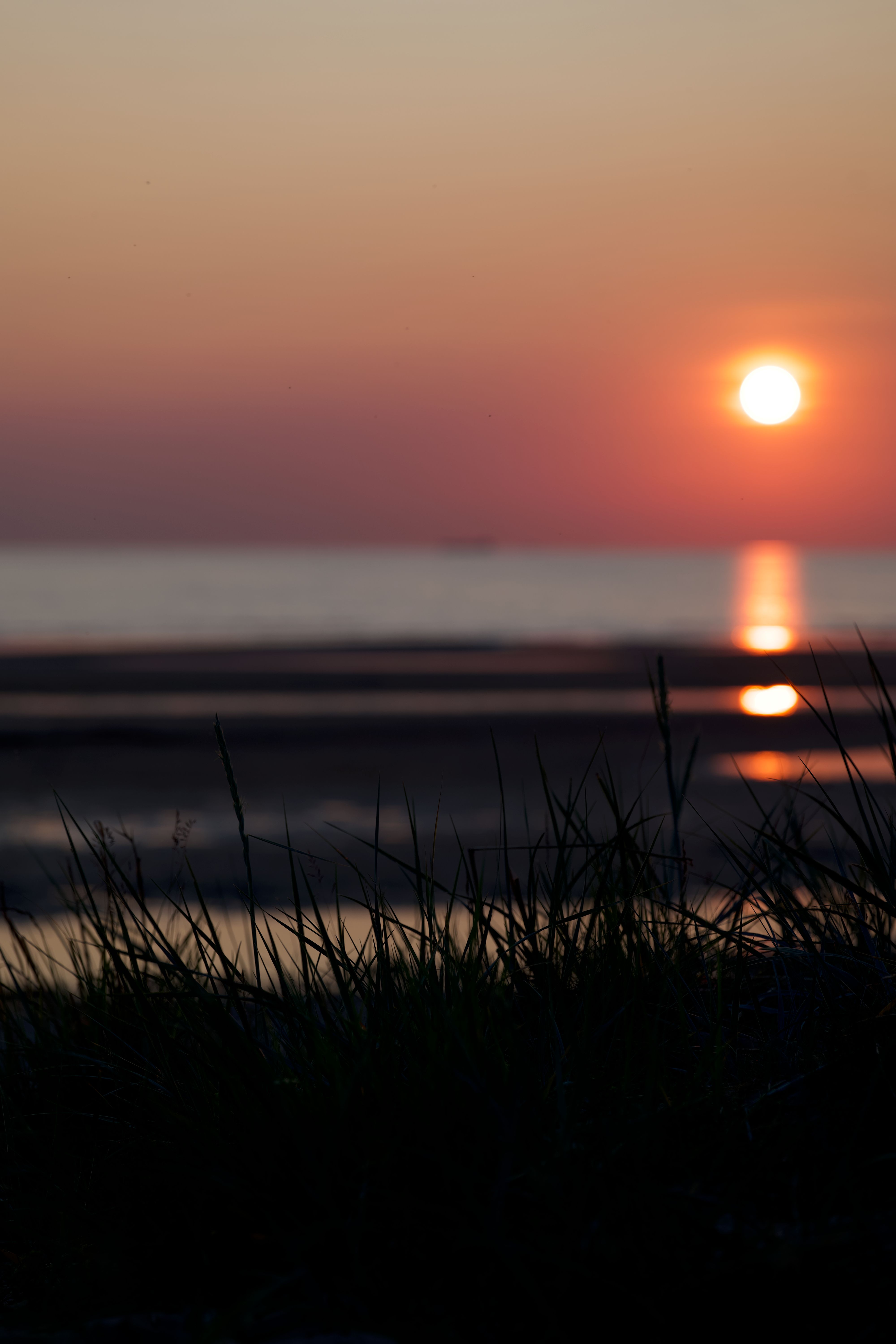 Aesthetic Sun Photos, Download The BEST Free Aesthetic Sun Stock Photos