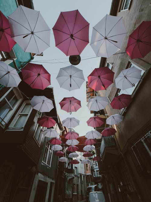 Umbrellas Hanging above the Street in City 