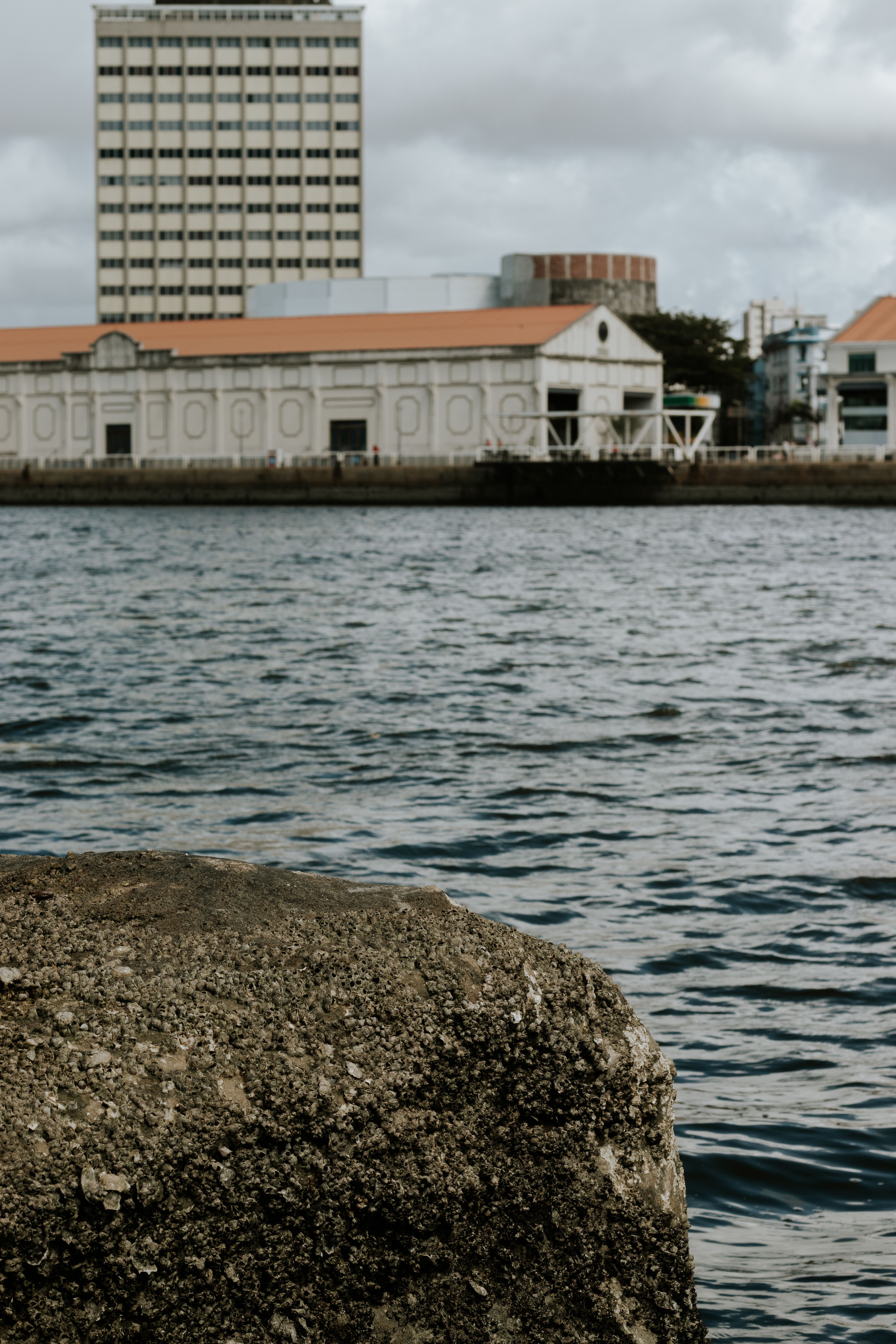 Recife waterfront showcasing historic architecture and calm sea.