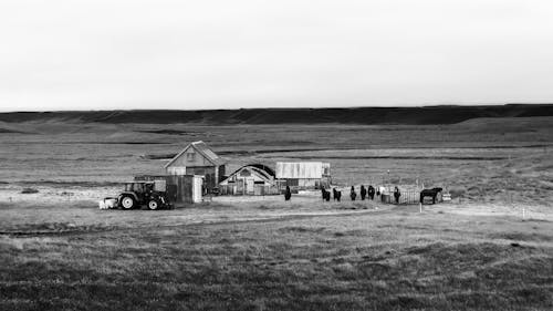 Horses and Tractor on a Rustic Farm Among Pastures