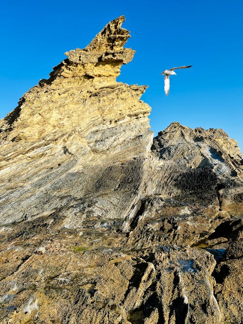 View of a Bird Flying near a Rock Formation 