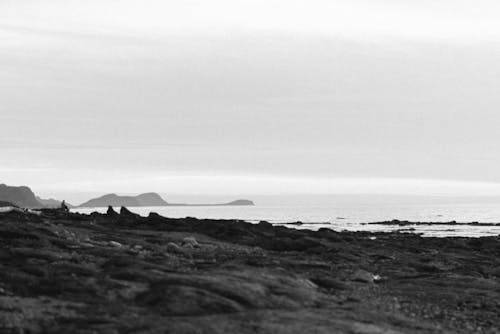 Free stock photo of beautiful landscape, black and white film, estuarie