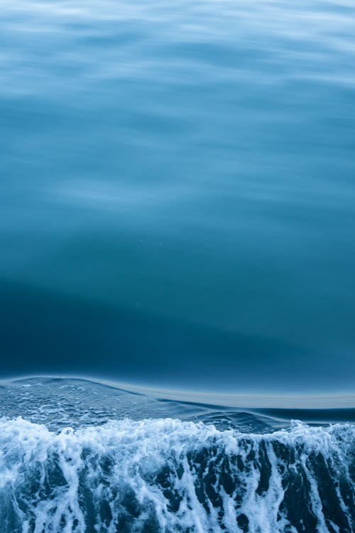 Foto profissional grátis de água, azul, espuma