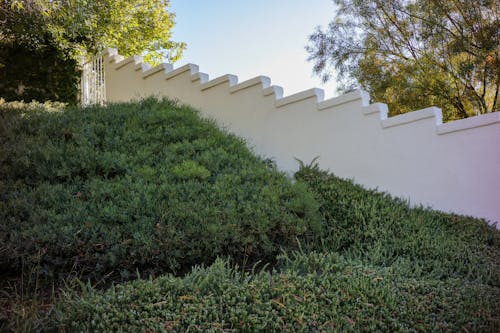 Shrubs and a White Wall in a Park 