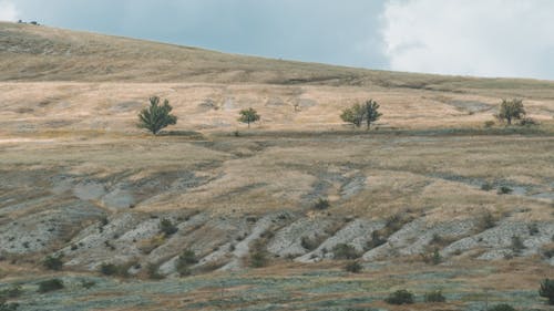 Gratis arkivbilde med ås, gressmark, landlig