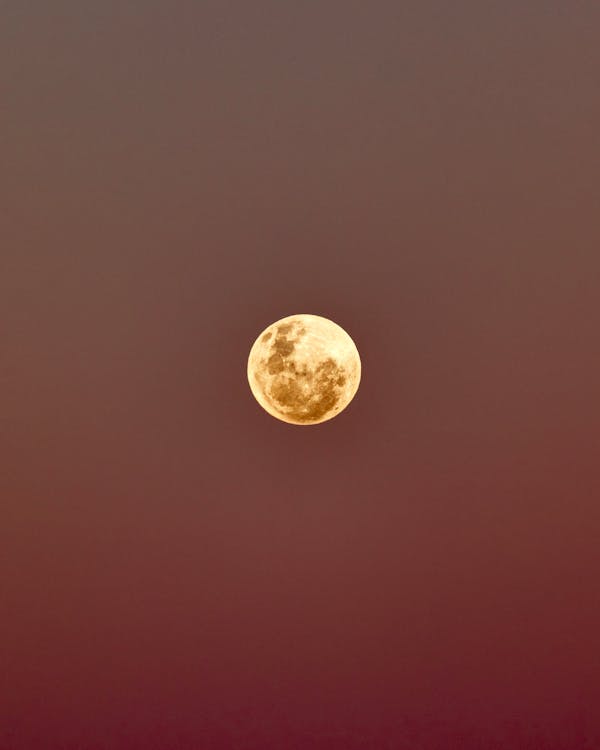 Foto stok gratis bulan purnama, kuning, luna