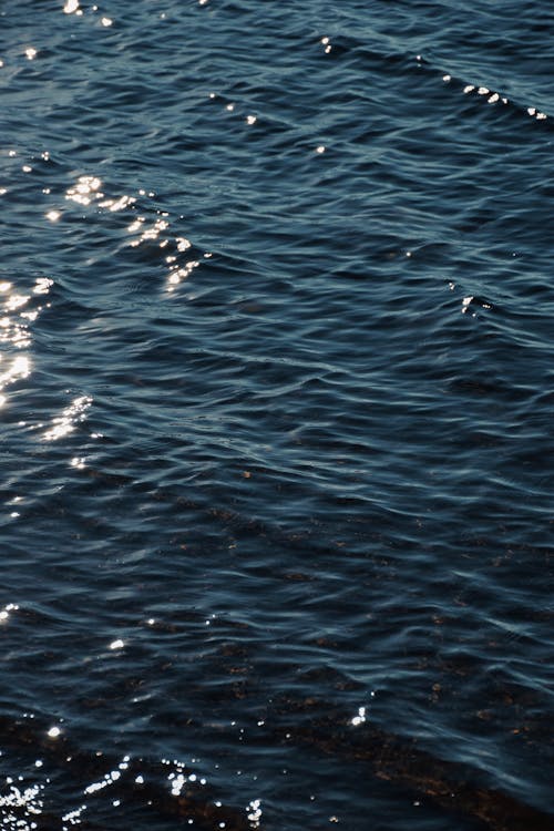 Blue Water Surface Reflecting the Sunlight