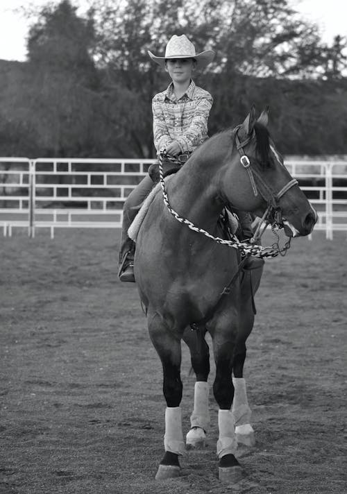 Ilmainen kuvapankkikuva tunnisteilla cowboy, eläin, hattu