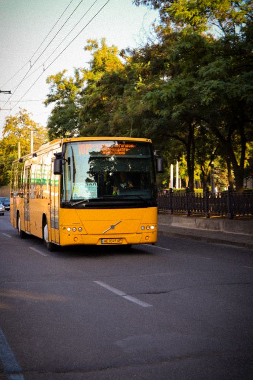 Free A yellow bus travels down a city street lined with trees during the day. Stock Photo