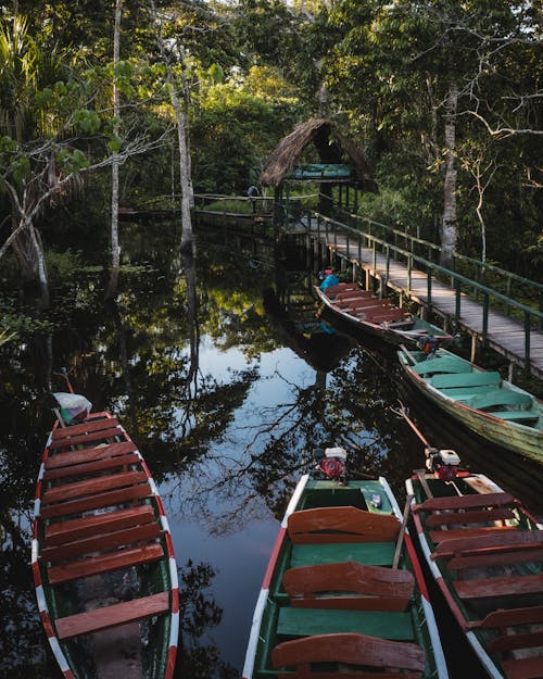 Foto profissional grátis de árvores, barcos, calçadão