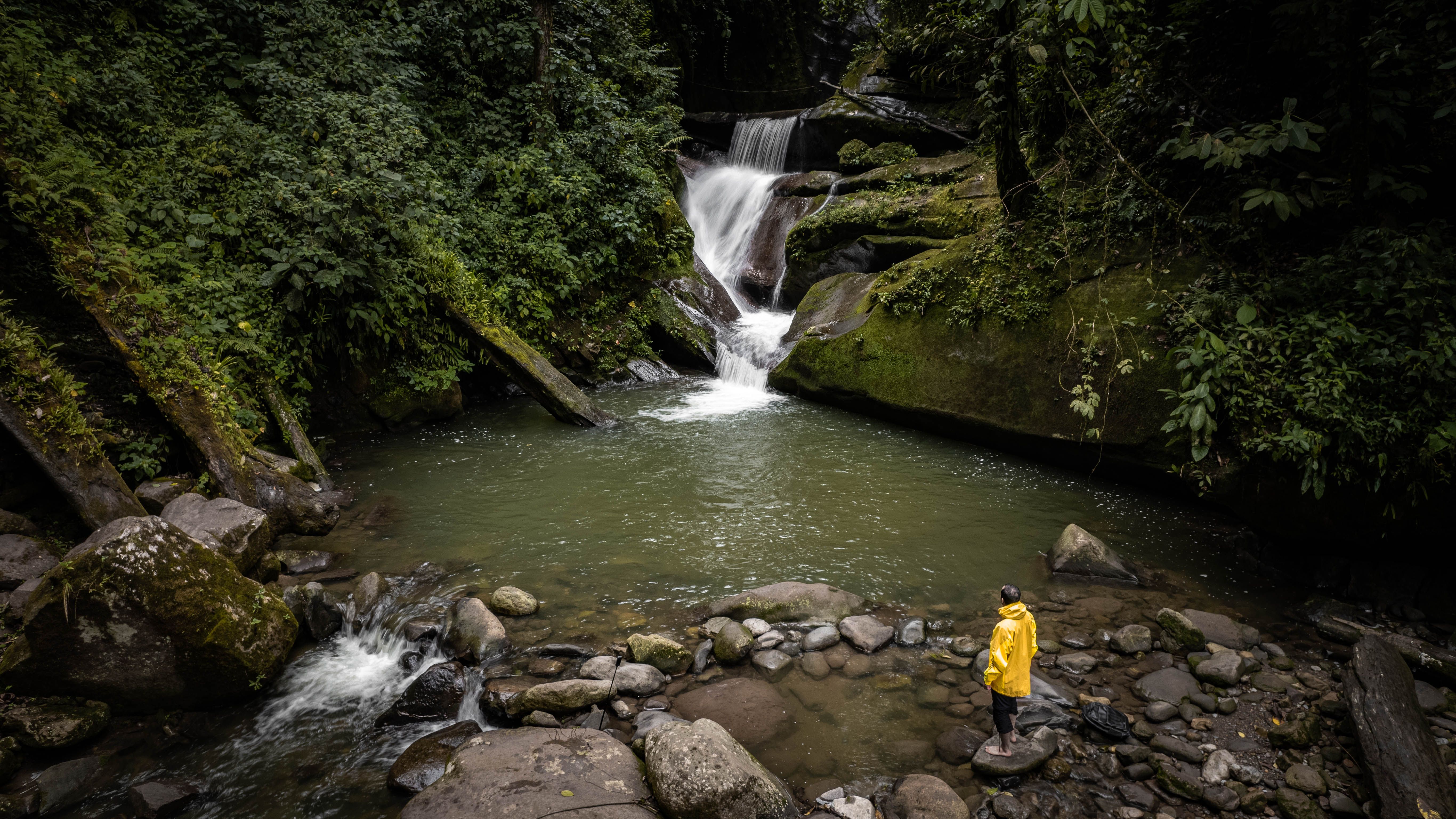 A person in a yellow raincoat observes a waterfall in the lush jungle of Soritor, San Martín, Peru. (A San Martín jungle waterfall — not San Roque itself.)