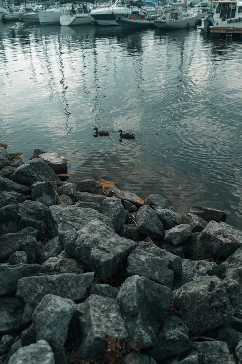 Fotobanka s bezplatnými fotkami na tému 4k tapety, architektúra, breh