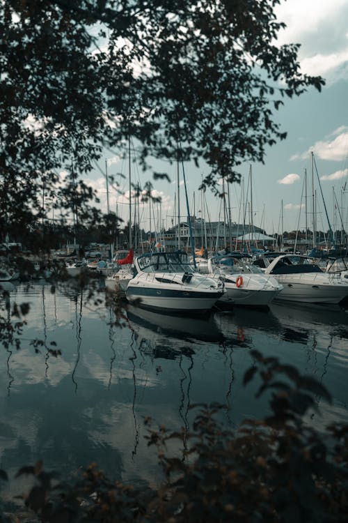 A boat docked in a marina with trees and water